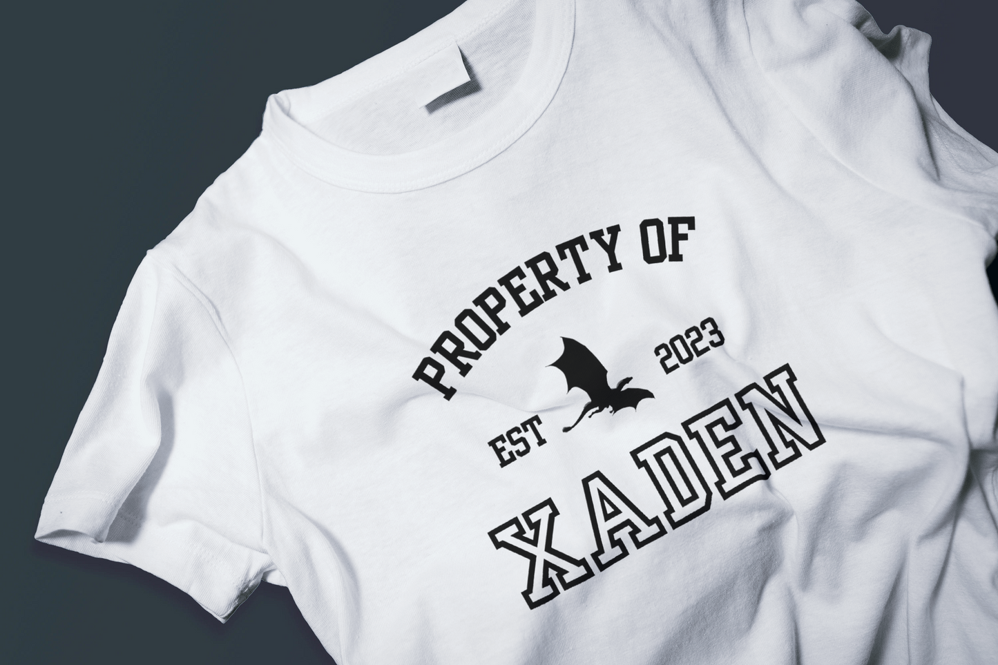 Fourth Wing “Xaden” T-Shirt