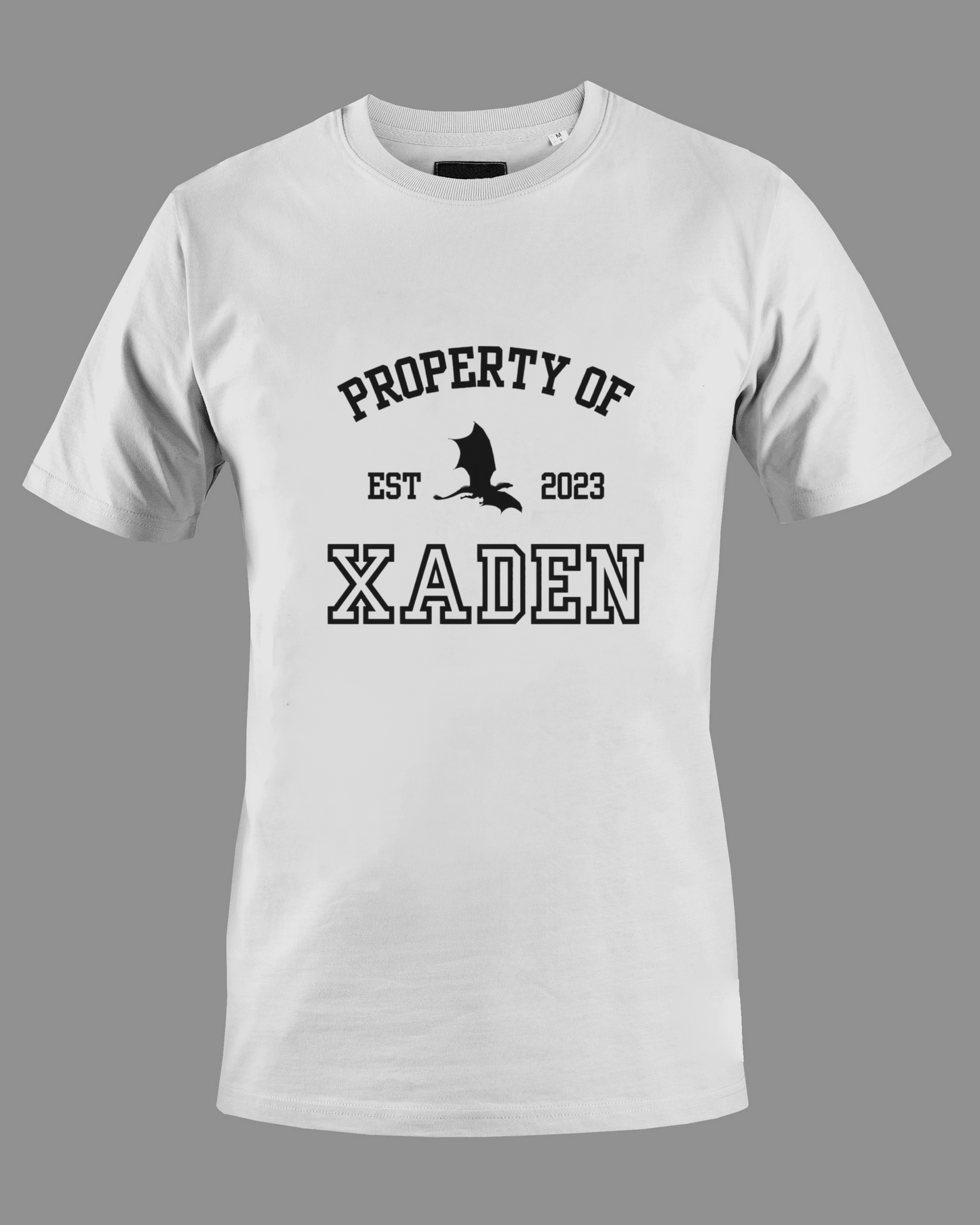 Fourth Wing “Xaden” T-Shirt