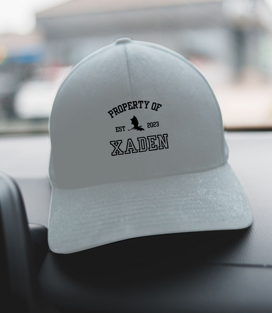 Fourth Wing “Xaden” hat